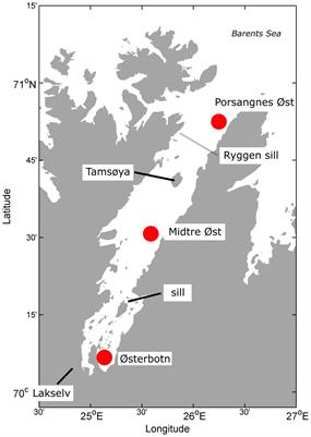 Impact of Microsetella norvegica on carbon flux attenuation and as a secondary producer during the polar night in the subarctic Porsangerfjord